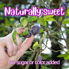 Dried Pitted Prunes Unsweetened 3 Lbs Jumbo Container