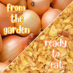 Gourmet Dried Minced Onion 2.1 lbs Jumbo Container Jar