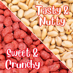 French Burnt Peanuts  2.5 lbs Jumbo Container