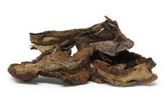 Dried Mushroom Slices (Boletus Luteus) — Jumbo Jar