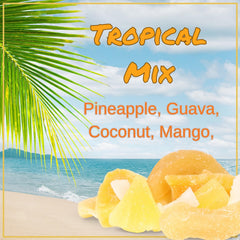 Tropical Mixed Dried Fruit Medley 40 OZ Jumbo Container