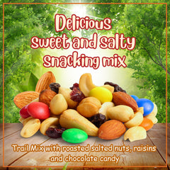 M&M's Classic Trail Mix 3 Lbs Reusable Container