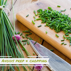 Chives