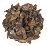 Mushroom Kibble (Boletus Luteus)