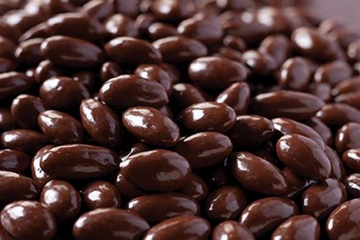 Milk Chocolate Covered Almonds