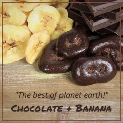 Dark Chocolate Covered Banana Chips