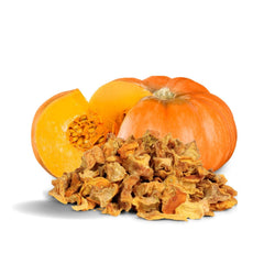 Dried Pumpkin Pieces , 24 OZ Jumbo Container