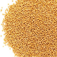 Whole Yellow Mustard Seeds All Natural