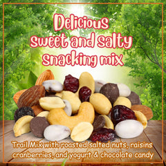 Deluxe Trail Mix with Greek Yogurt, Chocolate, Fruit and Nuts