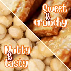 Macadamia Brittle Red Gift Box