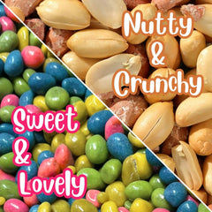 Rainbow Boston Beans 3 lbs  Jar DLX