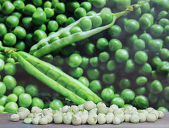 Freeze Dried Peas