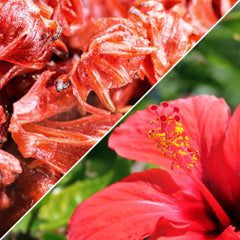 Dried Candied Hibiscus Flower