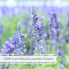Natural Dried Lavender Flower