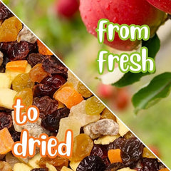 Dried Mixed Fruit Dices Medley