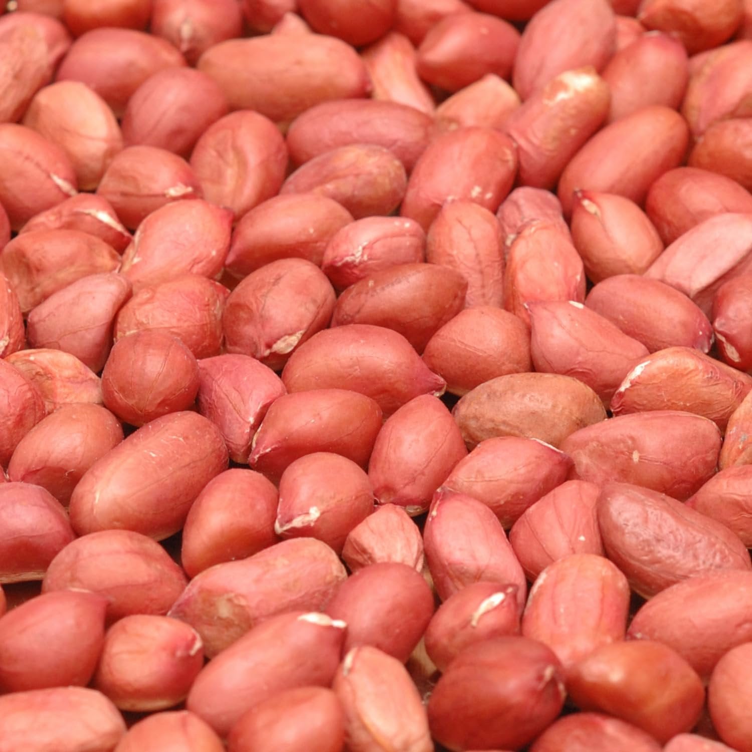 Roasted Unsalted Redskin Peanuts