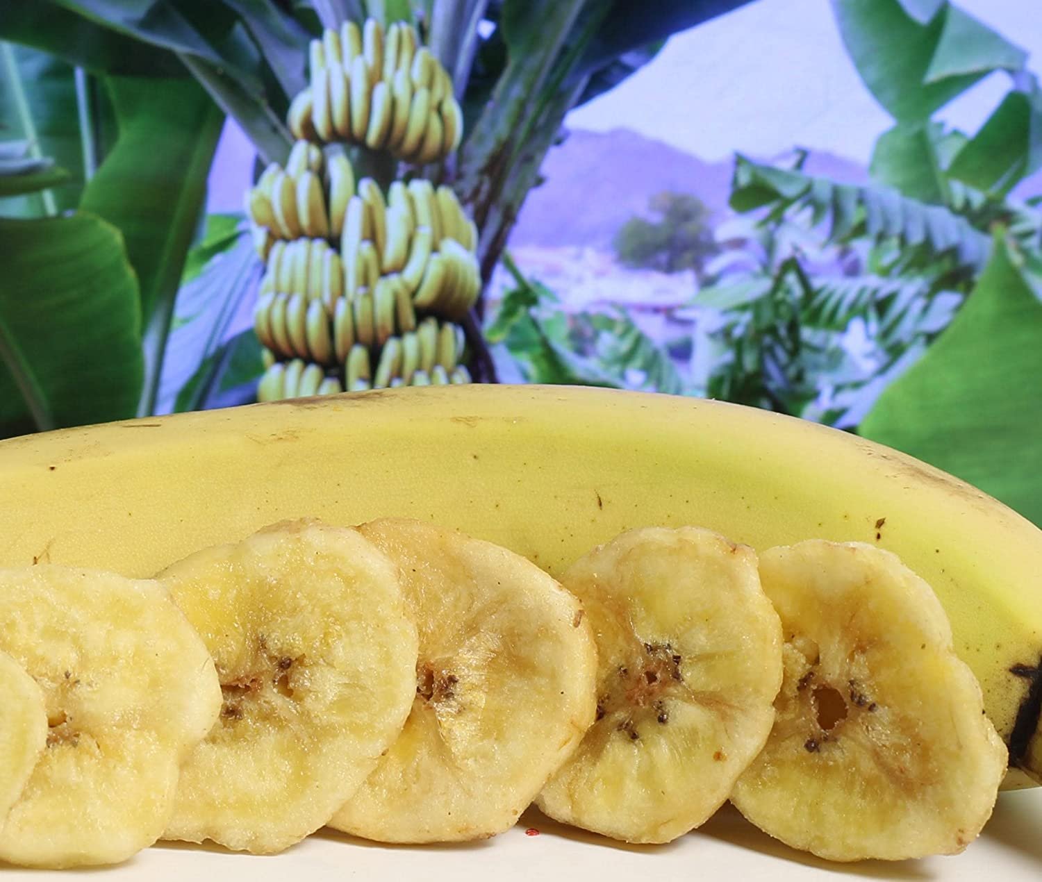 Organic Dried Banana Chips 1.5 lbs Jumbo Jar – Its Delish